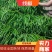 【线椒】山东黑线椒，黄线椒大量有货。新鲜采摘，色泽鲜亮。