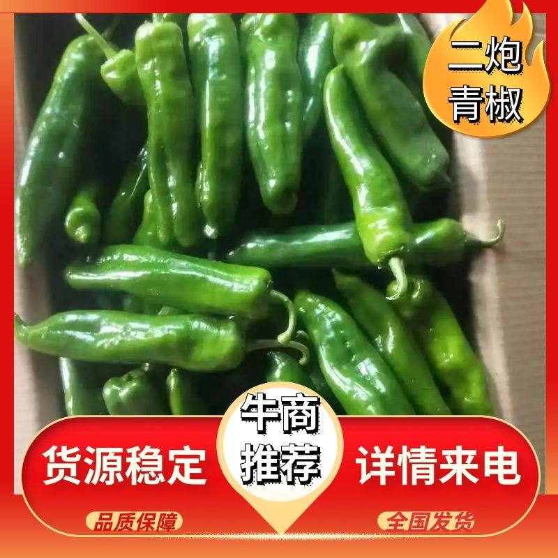 青皮尖椒陕西产地一手货源批发30年代办经验采购放心