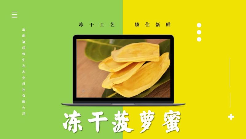 （一件代发）冻干菠萝蜜，货量稳定，质量保证，