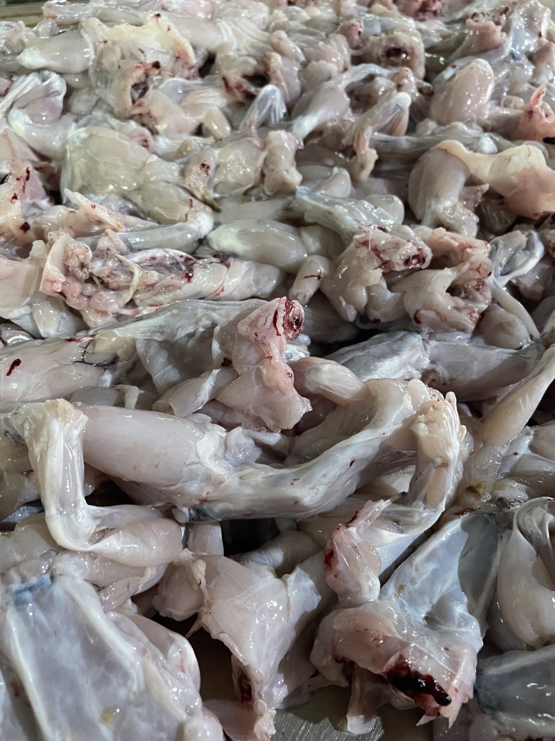 广东现杀蛙肉厂家批发牛蛙冰鲜打包【去头去皮去内脏】