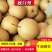 【实力商家】精品秋月梨口感脆甜多汁现摘现发代发全国