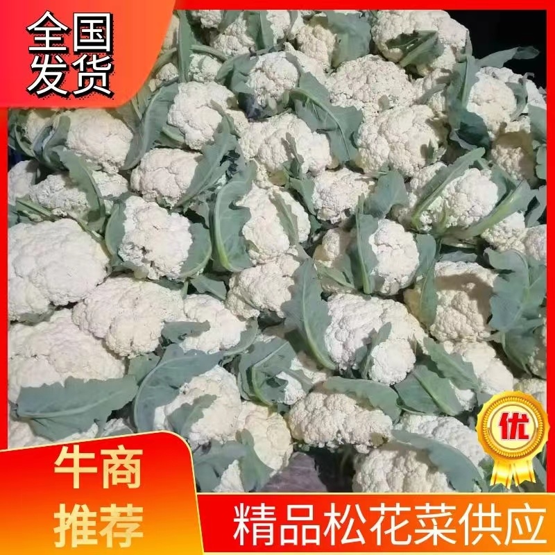 山东肥城蔬菜主产区，加工厂菜花，有机花产地直供