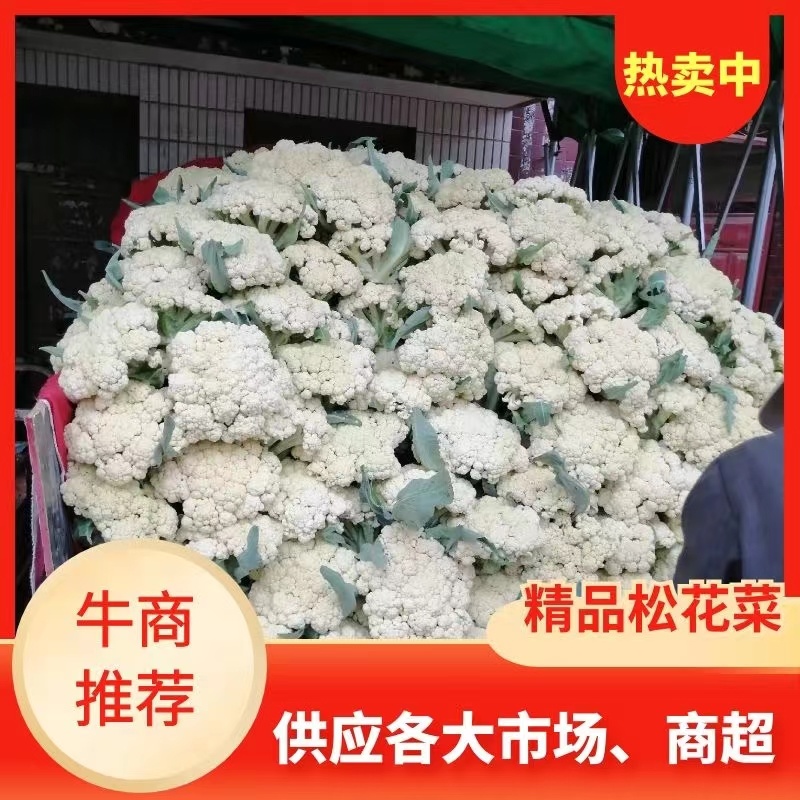 青梗白面有机花，松花菜，大量上市全天24小时供货