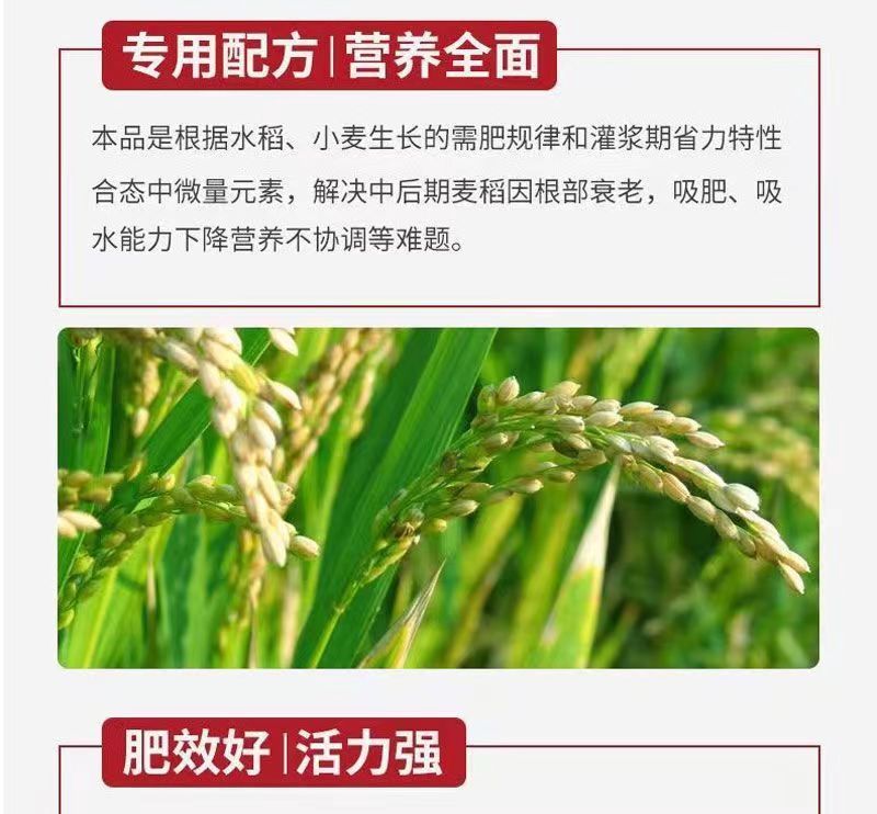 佳乐夫小麦水稻灌浆肥提高抗逆抗病抗倒伏孕穗多籽粒饱满增产