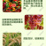速锐达渗透剂提升药效杀菌剂杀虫剂叶面肥
