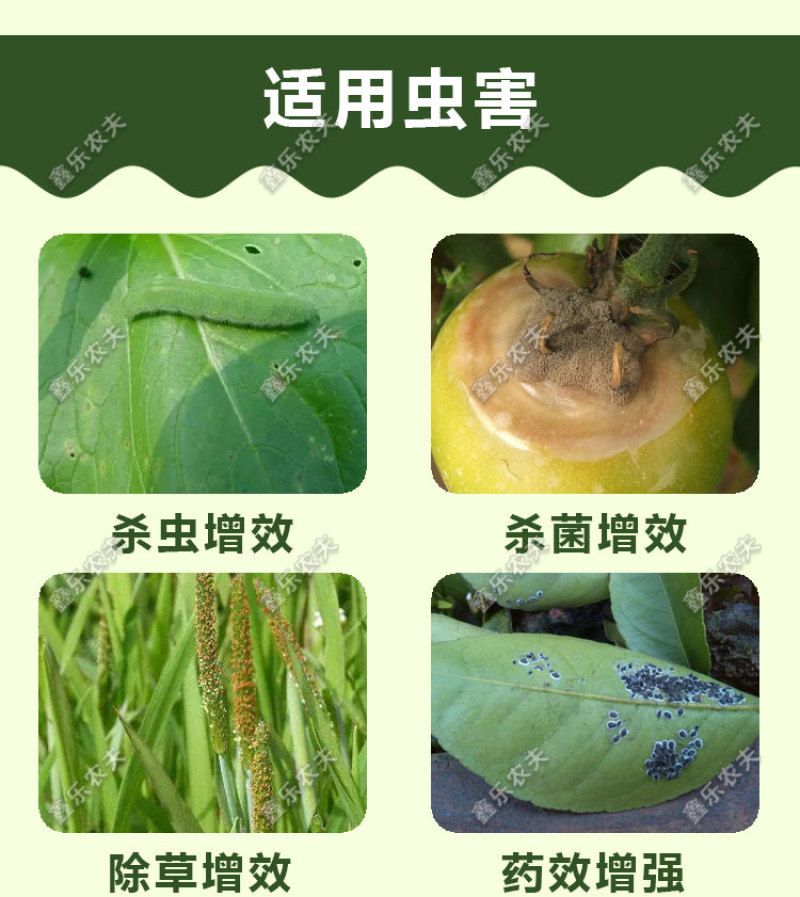 速锐达渗透剂提升药效杀菌剂杀虫剂叶面肥