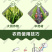 速锐达渗透剂提升药效杀菌剂杀虫剂叶面肥