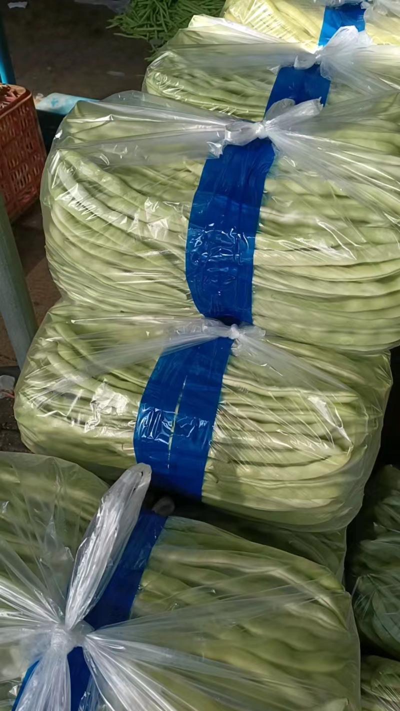 河北扁豆全国发货品质保证全国发货欢迎联系