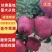 【产地新货】花牛苹果精品花牛原产地发货甘肃天水