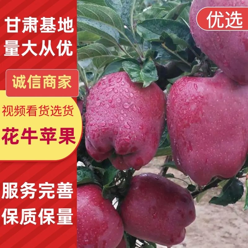 【产地新货】花牛苹果精品花牛原产地发货甘肃天水