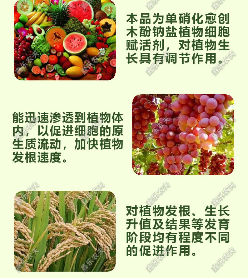 硝钠胺鲜酯调节生长打破休眠保花保果防落花落果