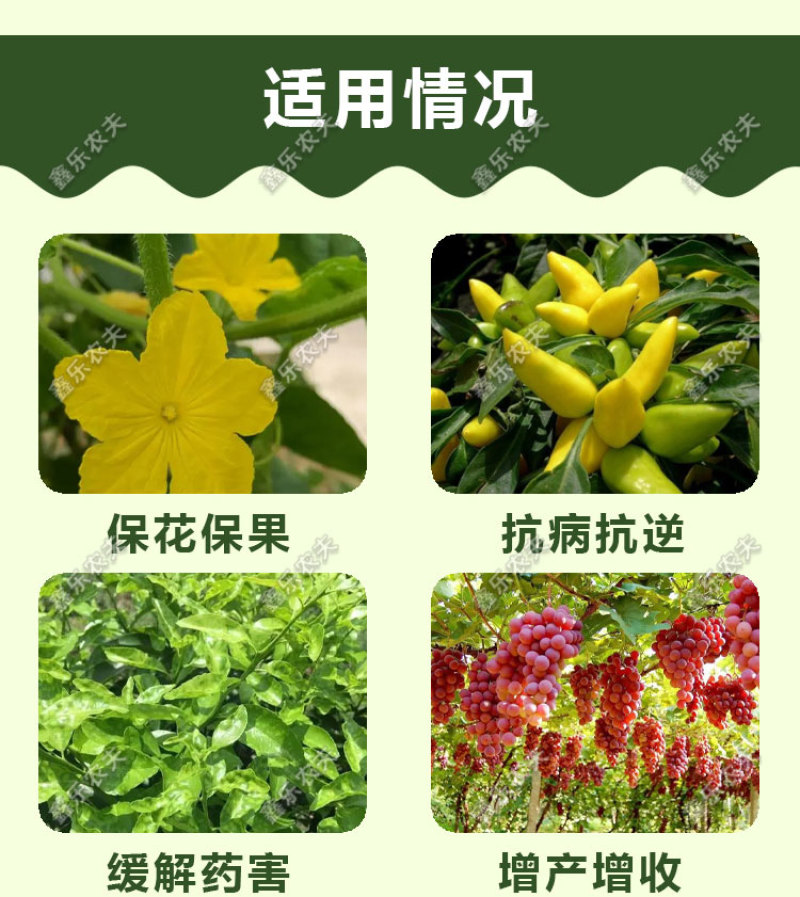 硝钠胺鲜酯调节生长打破休眠保花保果防落花落果