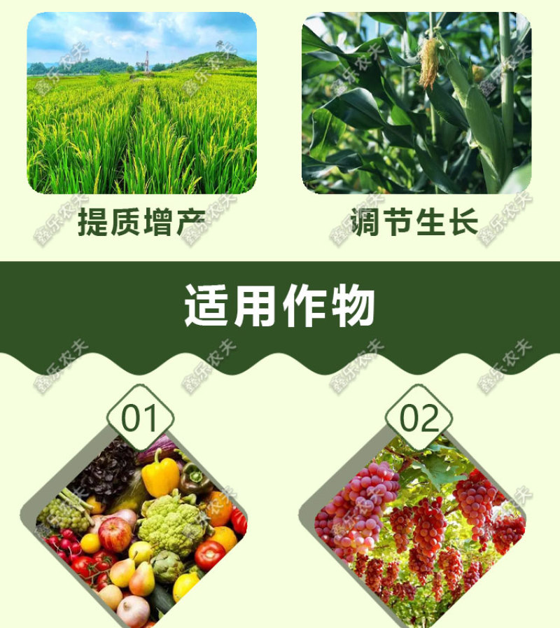 硝钠胺鲜酯调节生长打破休眠保花保果防落花落果