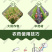 硝钠胺鲜酯调节生长打破休眠保花保果防落花落果