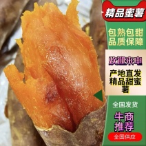 烟薯25唐山烟薯蜜薯，香甜软糯，烤薯专用，烤薯必备