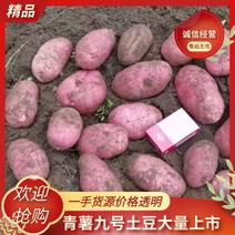 云南青薯九号土豆诚信经营品质保证价格透明可远程