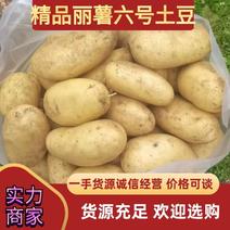精品丽薯六号土豆大量上市诚信经营一手货源品质保证欢迎来电