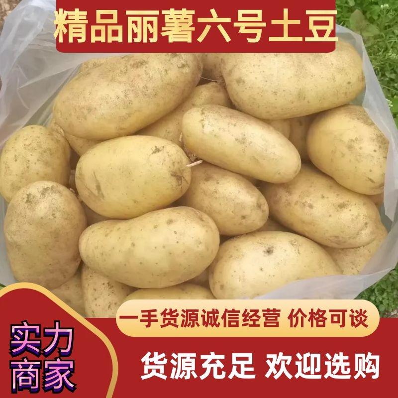 精品丽薯六号土豆大量上市诚信经营一手货源品质保证欢迎来电