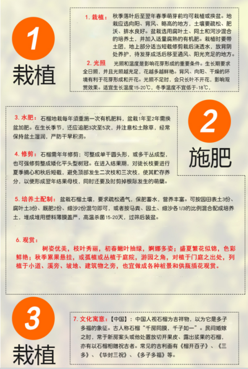 蒙阳红石榴苗蒙阳红大石榴树苗合同发货