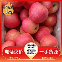 【红将军苹果】辽宁产地直供质量保证一手货源对接商超