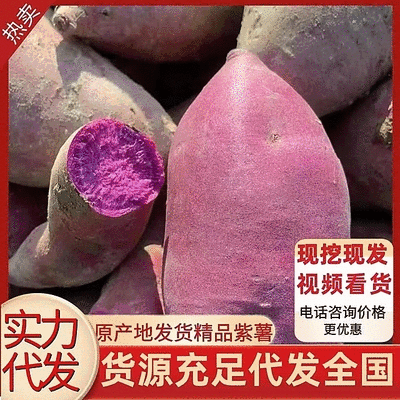 湖北紫薯紫罗兰紫薯软糯香甜宜城产地直发货源充足