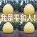 平和柚子白柚红柚，三红欢迎来当地采购电话联系