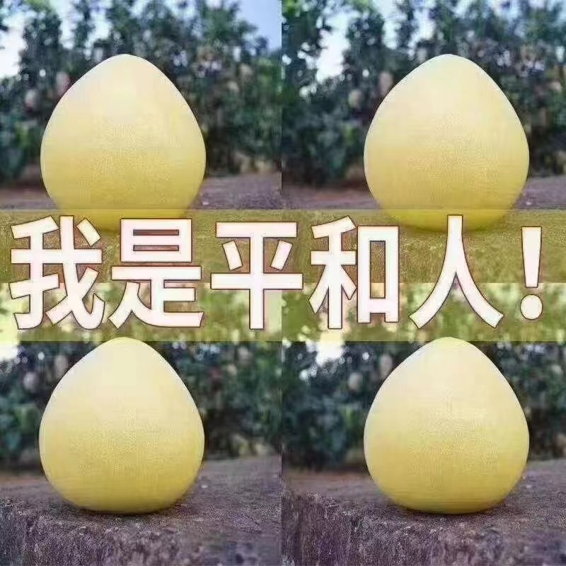 平和柚子白柚红柚，三红欢迎来当地采购电话联系