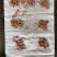 小龙虾整肢虾原料/毛虾/咪咪虾，拨虾仁虾尾的冻虾原料整车