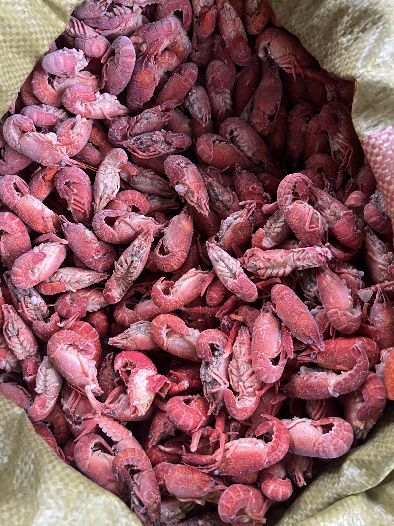 小龙虾整肢虾原料/毛虾/咪咪虾，拨虾仁虾尾的冻虾原料整车