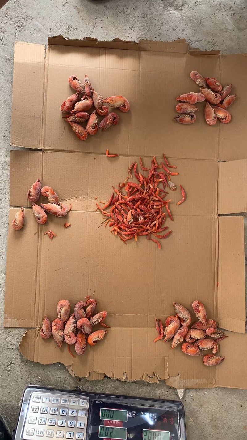 小龙虾整肢虾原料/毛虾/咪咪虾，拨虾仁虾尾的冻虾原料整车