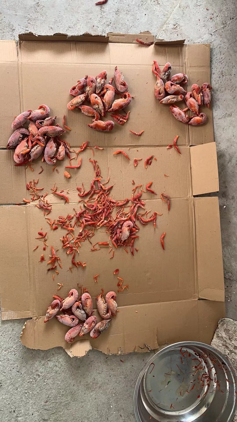 小龙虾整肢虾原料/毛虾/咪咪虾，拨虾仁虾尾的冻虾原料整车