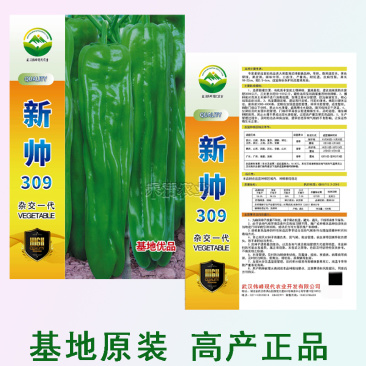 新帅309香辣皱皮辣椒种子皮薄质脆辣早熟辣椒种籽基地优品