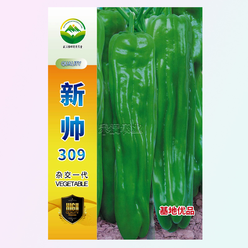 新帅309香辣皱皮辣椒种子皮薄质脆辣早熟辣椒种籽基地优品