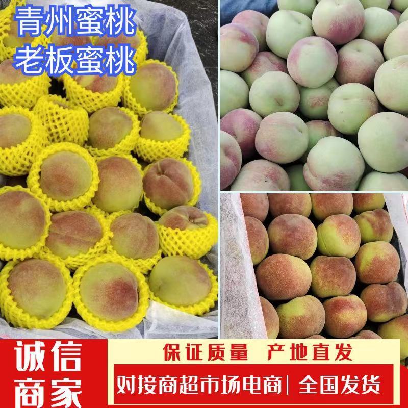 山东蜜桃基地蜜桃青州蜜老板蜜品种齐全价格便宜一手货源