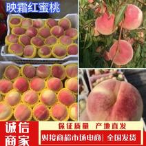 山东潍坊映霜红蜜桃子万亩果园一手货源价格便宜