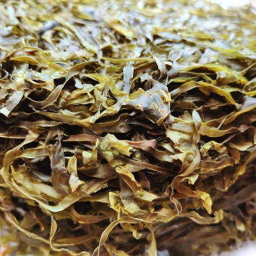 海带干货淡干无盐十成干日晒散装批发500g