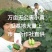 精品【水果黄瓜】小黄瓜个头均匀脆嫩瓜香欢迎抢购