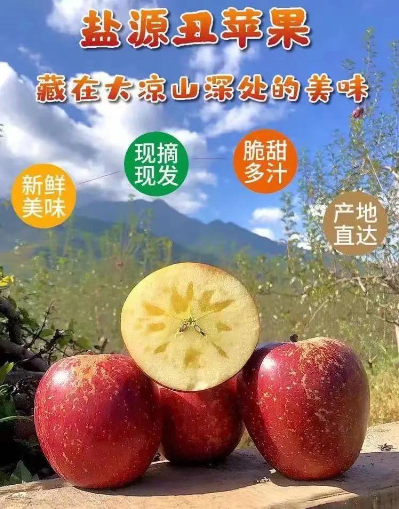 大凉山丑苹果各大平台直供超市电商平台支持货到付款