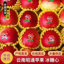 【昭通苹果】红露红富士冰糖心一条龙产地直发有需来电详谈