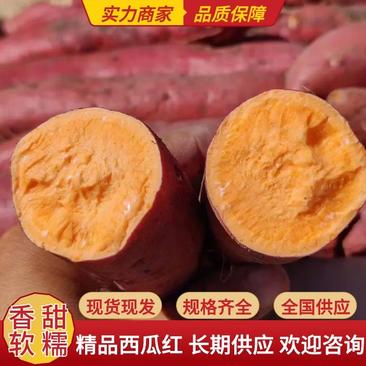 【实力商家】红薯精品西瓜红一手货源供应市场电商商超