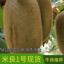湖南永顺旺丰猕猴桃基地大量直供紅心，黄心，绿心猕猴桃