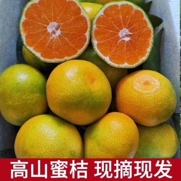 湖北高山，蜜橘，产地直发，质量保证，价格优惠，欢迎进店