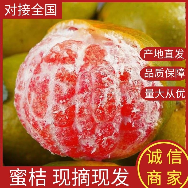 【热卖】蜜橘，湖北柑橘，产地直发，全国发货，对接大型采购