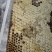 【蜂巢蜜】蜂蜜农家自产新鲜发货滋补养生品种纯正
