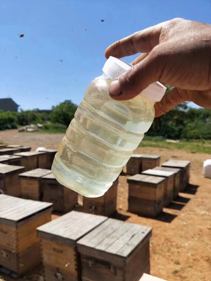 河南槐花蜂蜜花蜜大量供应自家酿造保质保量量大价优欢迎电联