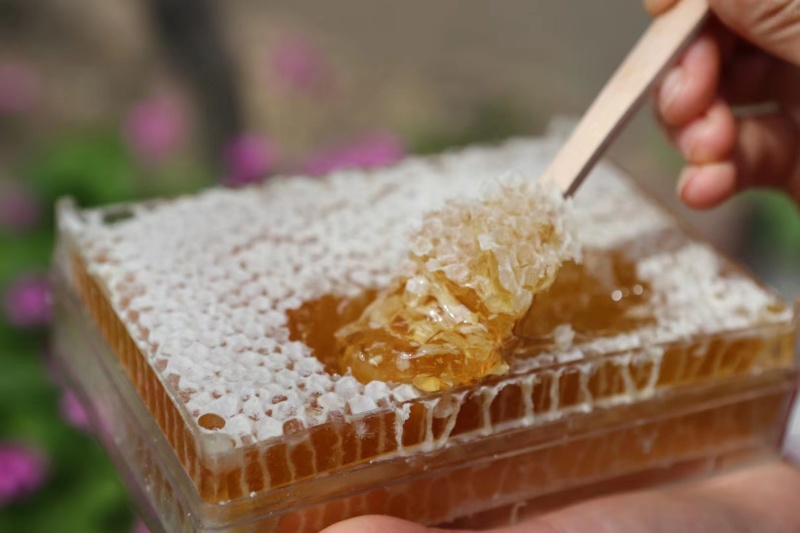 河南槐花蜂蜜花蜜大量供应自家酿造保质保量量大价优欢迎电联