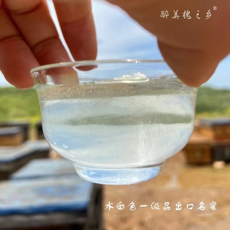 河南槐花蜂蜜花蜜大量供应自家酿造保质保量量大价优欢迎电联
