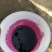 洛阳本地野葡萄红酒葡萄酒自家酿造品质保障可视频看货欢迎电联