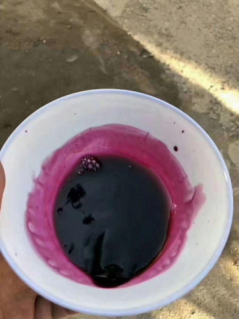 洛阳本地野葡萄红酒葡萄酒自家酿造品质保障可视频看货欢迎电联