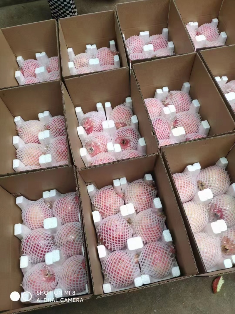 临潼石榴，骊山红，产地直发，味道鲜美，欢迎订购。